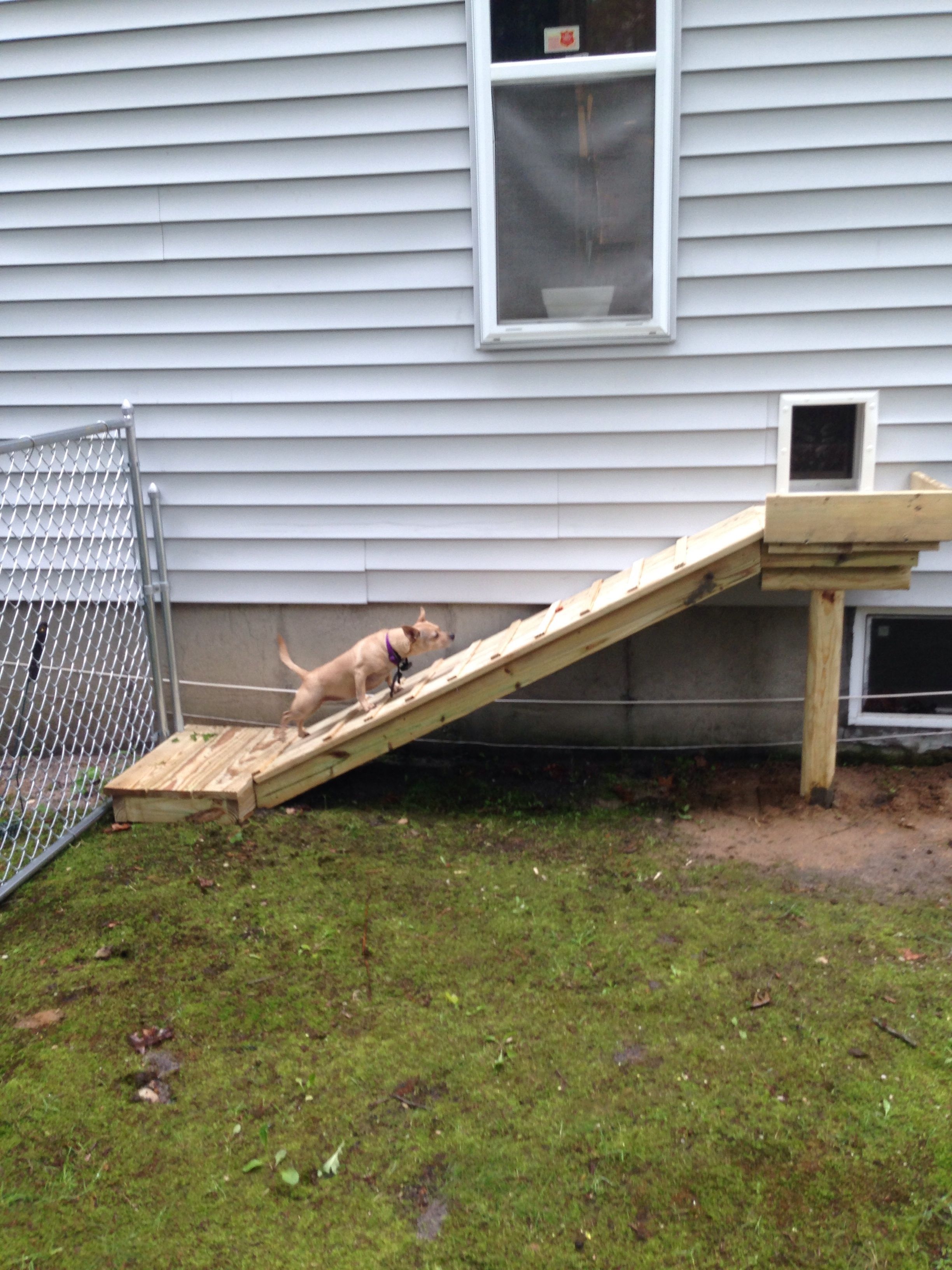 dog ramp for deck stairs