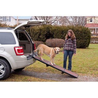 25+ best ideas about Dog ramp for car on Pinterest