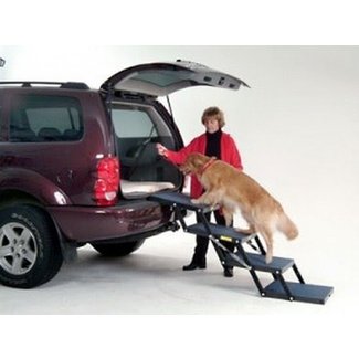 342 Best images about For Pets on Pinterest | Dog