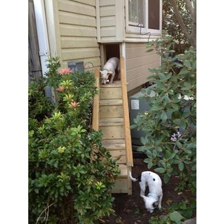 379 best images about Dog Design for the Home on