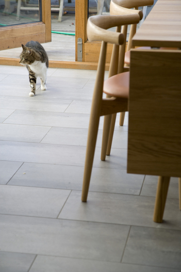 CH20 Elbow chair | Skandium