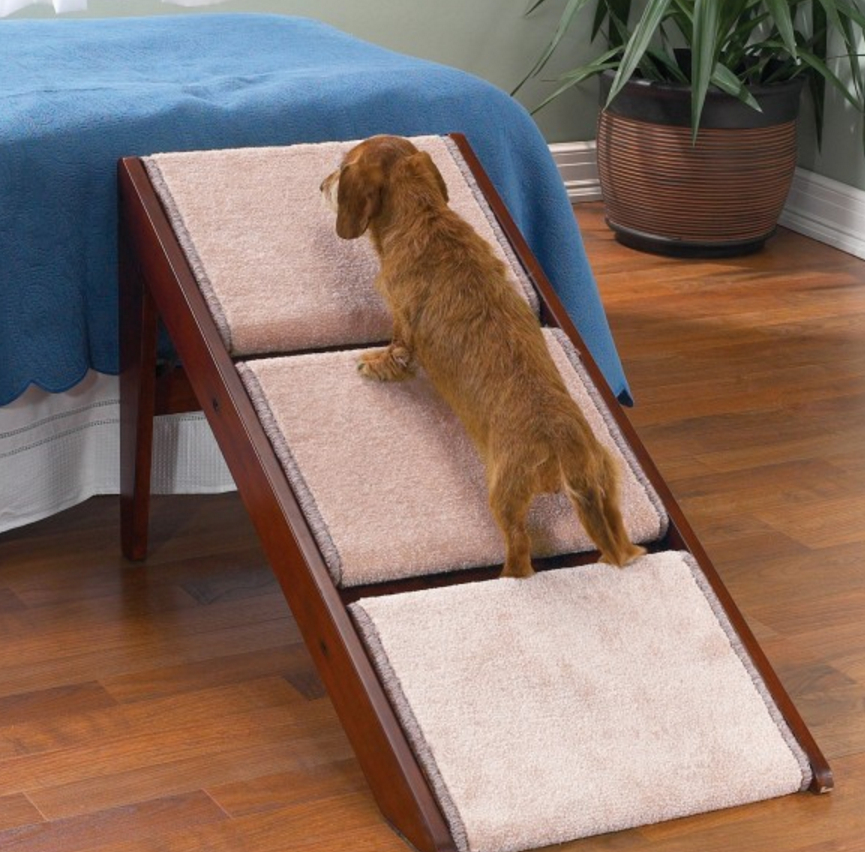 dog steps for bed uk