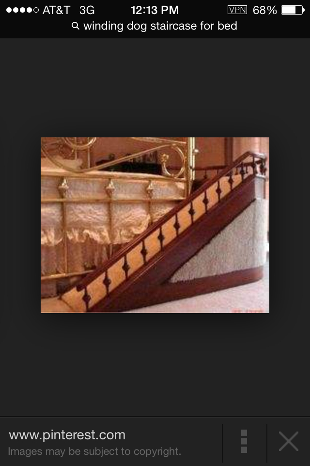 pet ramp with side rails