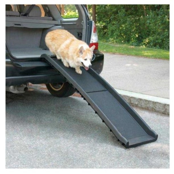 Dog Ramps » My Poochie's Paradise - Where YOUR Poochies