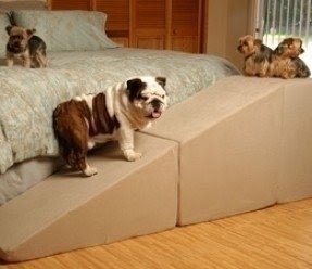 Dog Stairs For Large Dogs - Foter