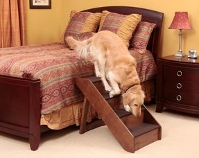 bed steps for big dogs