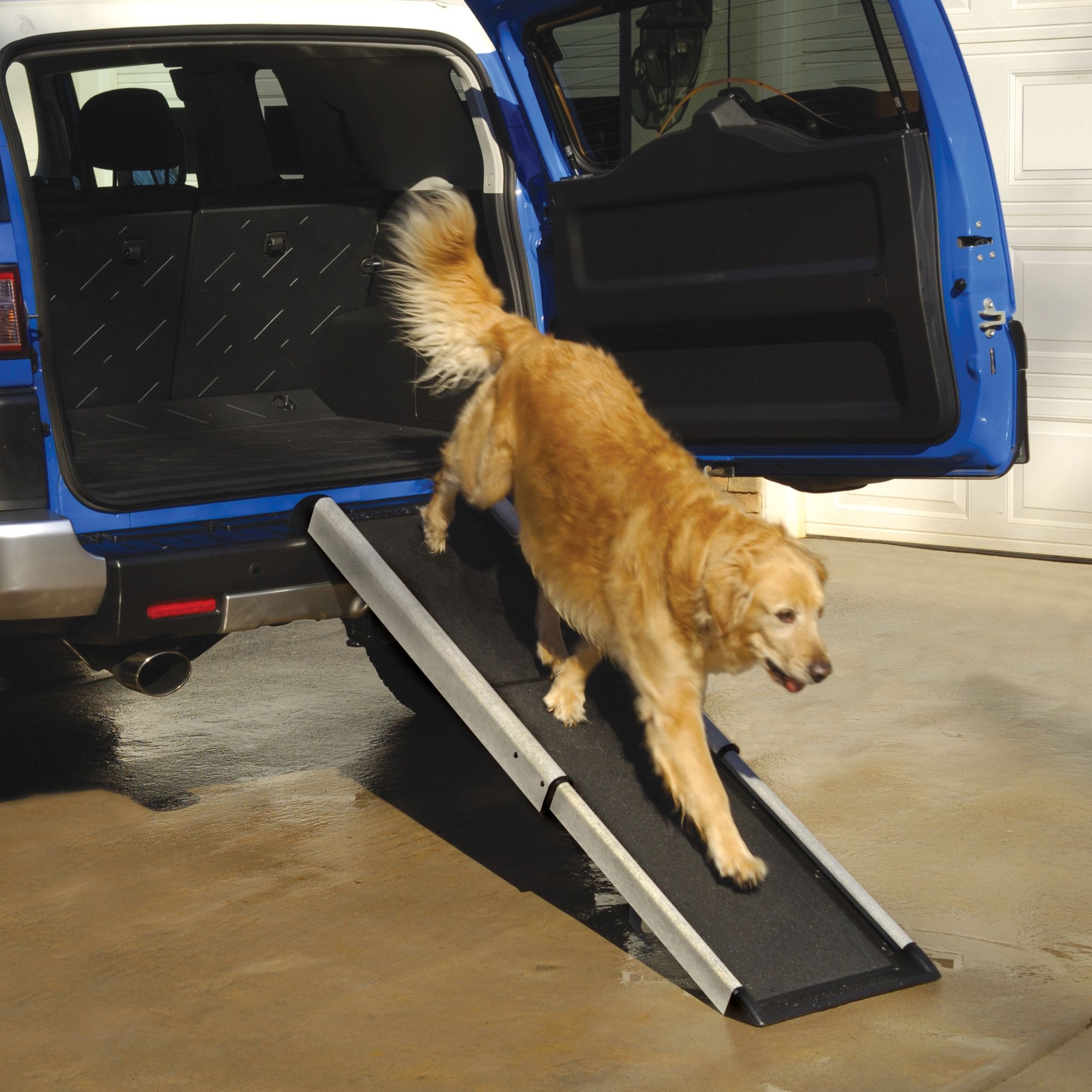 Dog Steps For High Beds And Cars |