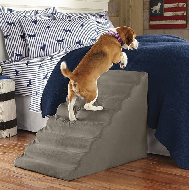 4 Tiers High Density Foam Dog Steps Dog Stairs for High Bed Pet Ladder Dog Ramps Erwazi Dog Stairs Dog Beds Pet Stairs Three with a Stair Detachable 