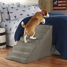 Dog Stairs For High Bed You Ll Love In 2021 Visualhunt