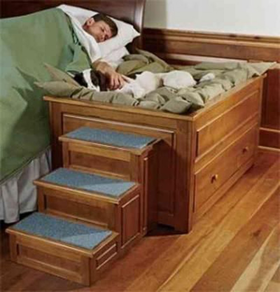 Dog Stairs For High Bed Visualhunt, King Size Bed With Dog Attached