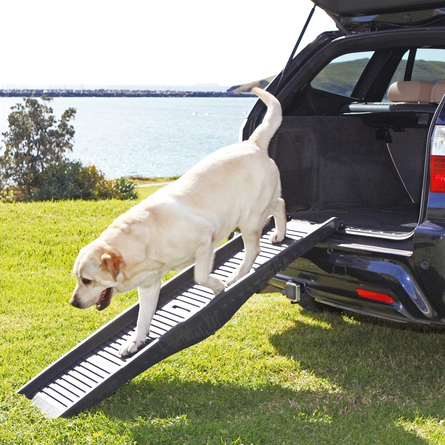 Folding Dog Car Ramp - House of Pets