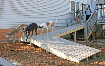 Outdoor dog outlet ramps