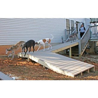 genji's corner: Sixteen Dogs for Christmas