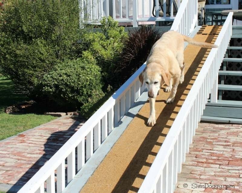 dog ramp to go over stairs
