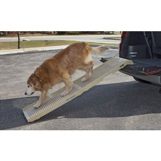 How to Build A Dog Ramp: Tools And Materials