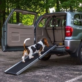 dog barrier for pickup truck
