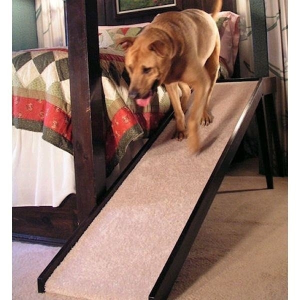 Large dog ramp for high bed best sale