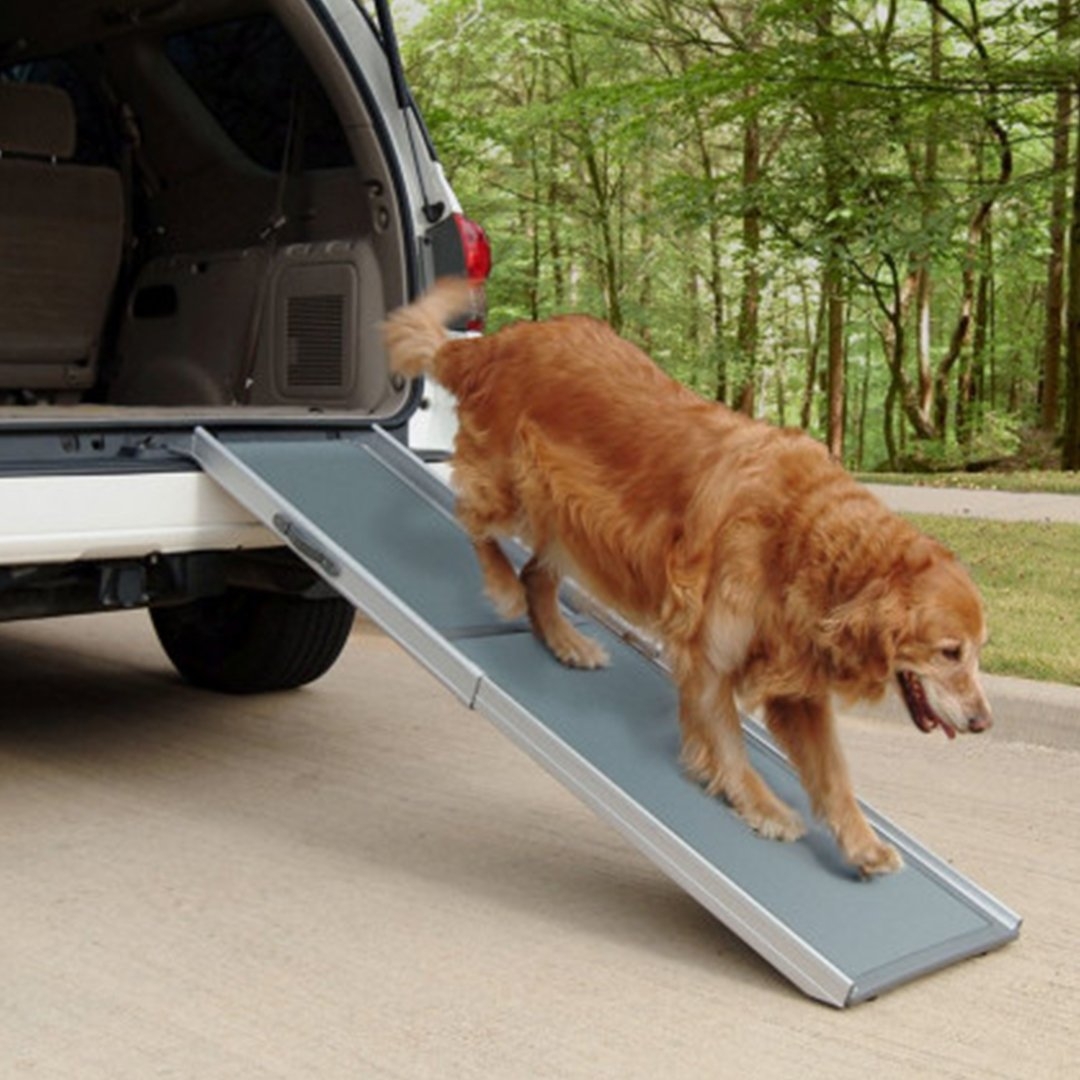 Pet Dog Ramp Portable Stairs Car Truck SUV Step Travel