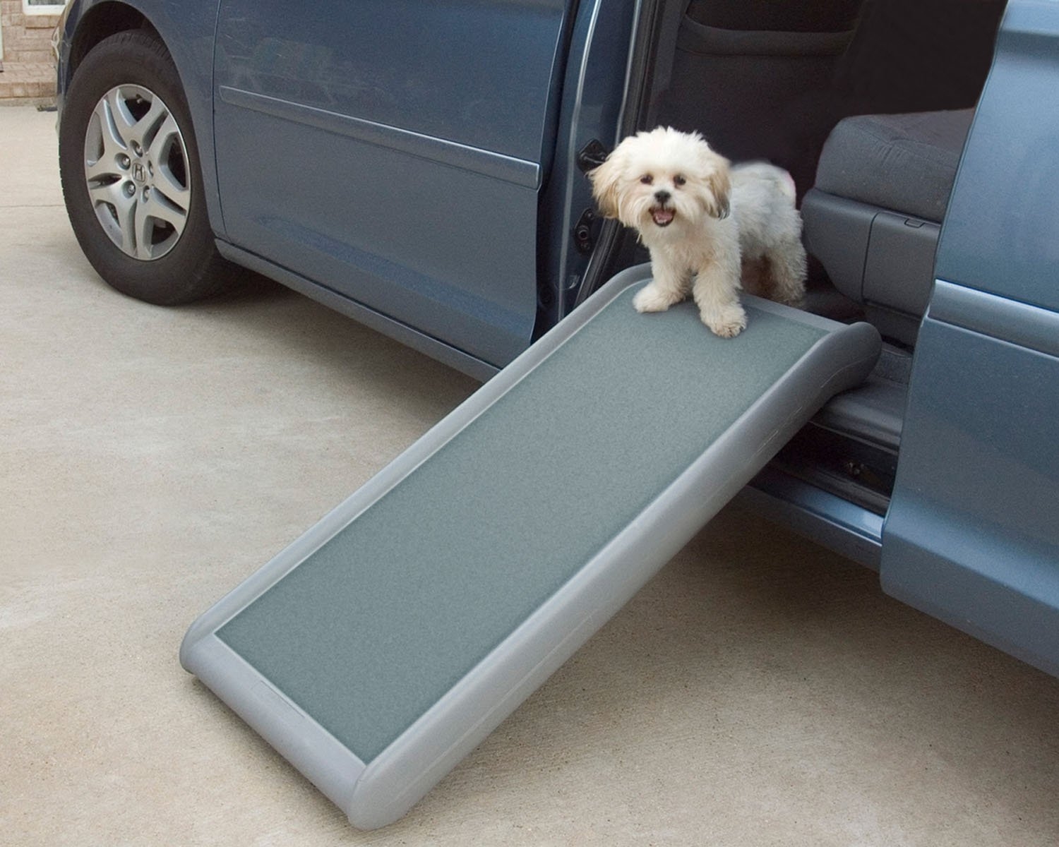 PetSafe Solvit Half Ramp II, 17 in. W x 39 in. L, Portable Lightweight Dog and Cat Ramp, Best for Shorter Inclines