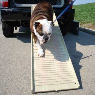 Pet Ramp For Car >> Dog Ramp For Car Suvs Trucks Visual Hunt Pet Ramp For Car >> Dog Ramp For Car Suvs Trucks Visual Hunt