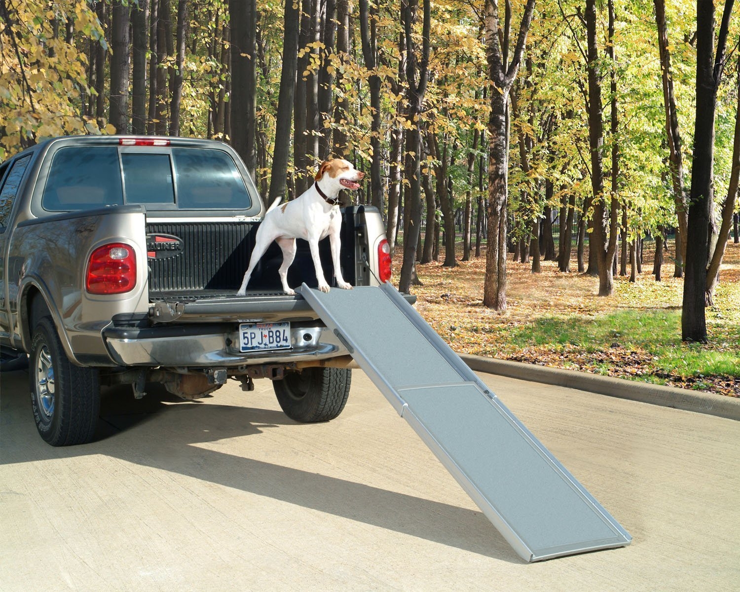 SOLVIT Deluxe XL Telescoping Pet Dog Car Truck SUV Ramp