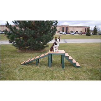 Top Dog Bridge - Stairs and Ramp | Barco Products