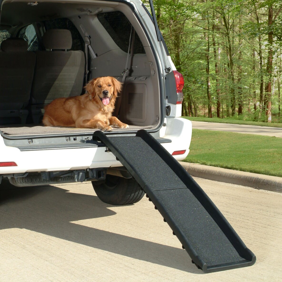 Dog Ramp For Car - SUVs & Trucks - VisualHunt