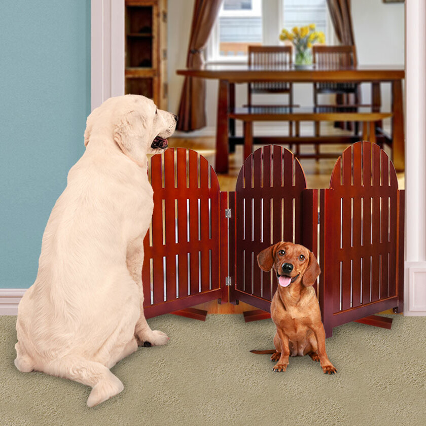 Decorative Pet Gates VisualHunt