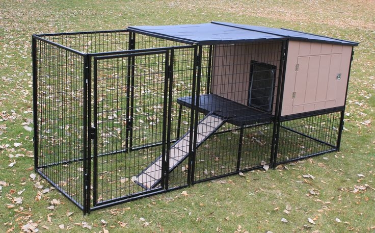 allie yard kennel