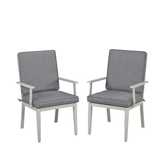 Dinan Patio Dining Chair with Cushion (Set of 2)