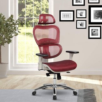 Eure Deluxe Ergonomic Mesh Task Chair