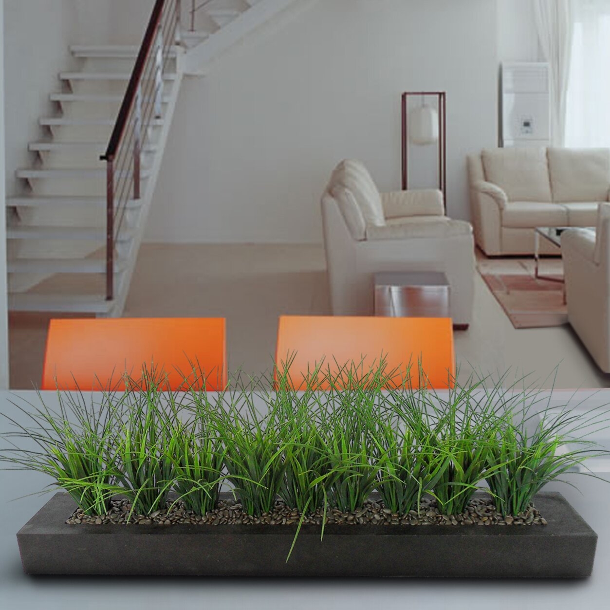 Grass in Rectangular Planter I