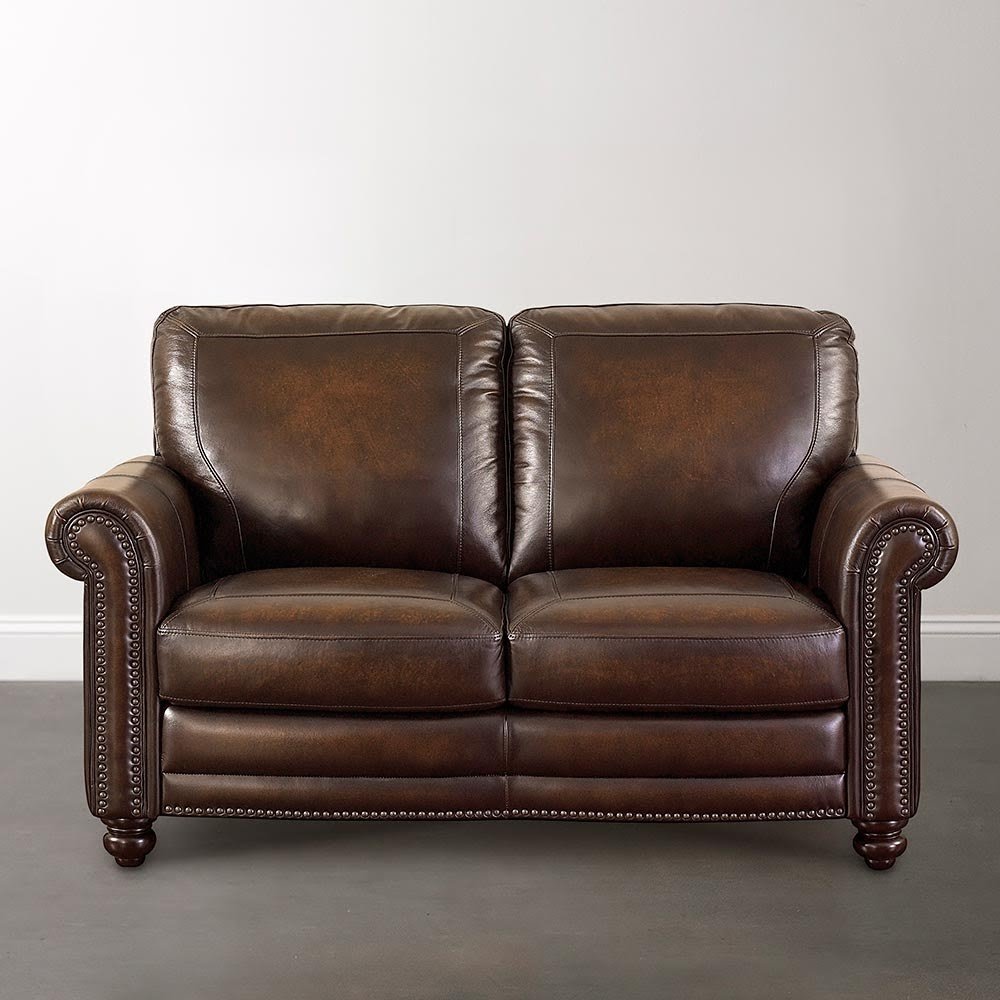Leather Loveseat Sleepers Visualhunt, Leather Chair Sleeper