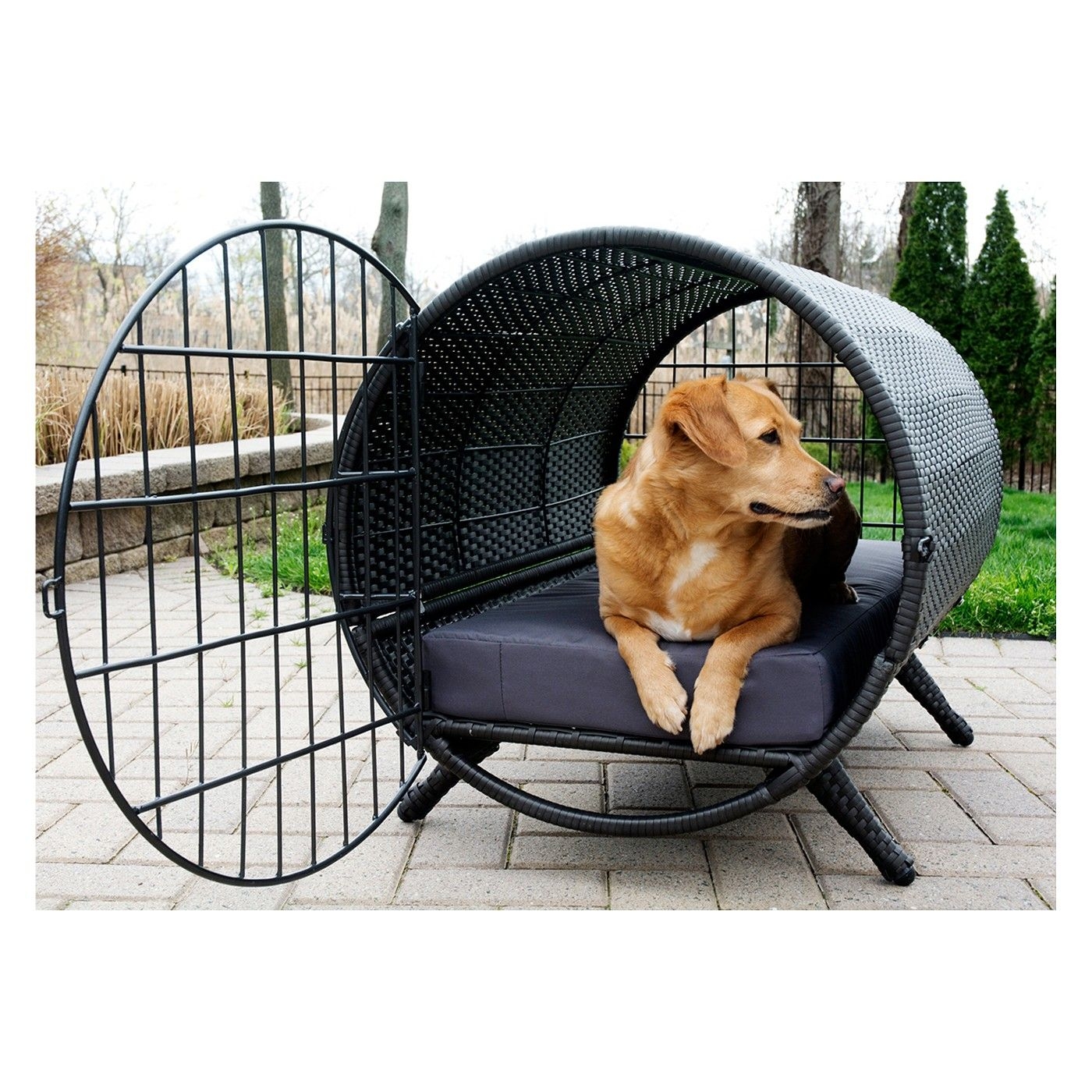 Decorative Dog Crates You'll Love in 2021 VisualHunt