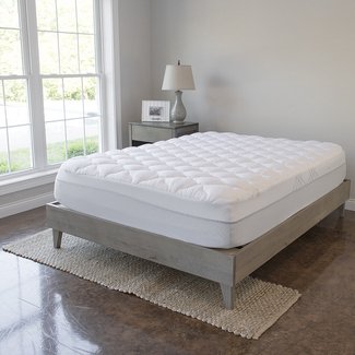 Nieto Bed Frame