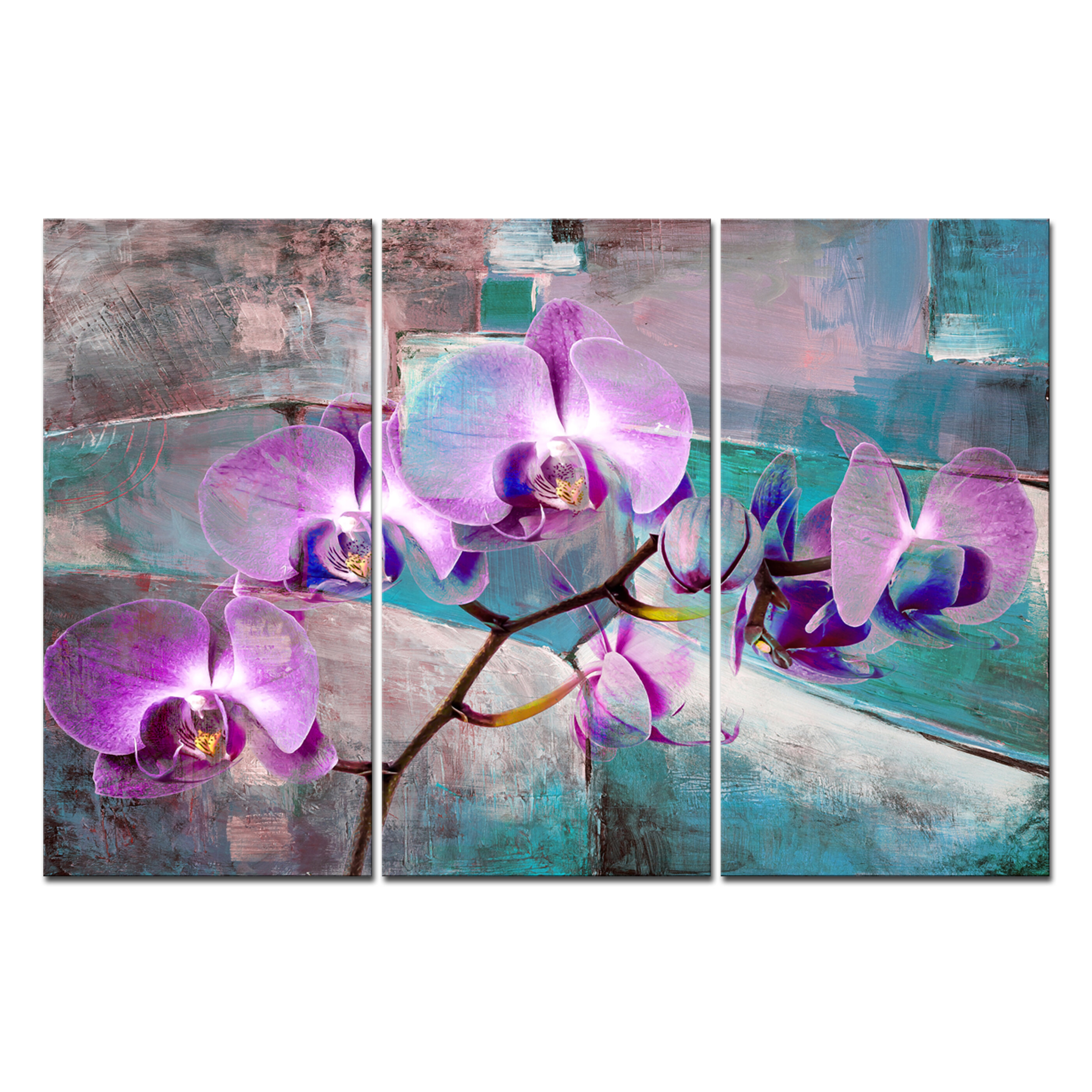'Painted Petals XIX' 3 Piece Graphic Art Print Set on Wrapped Canvas