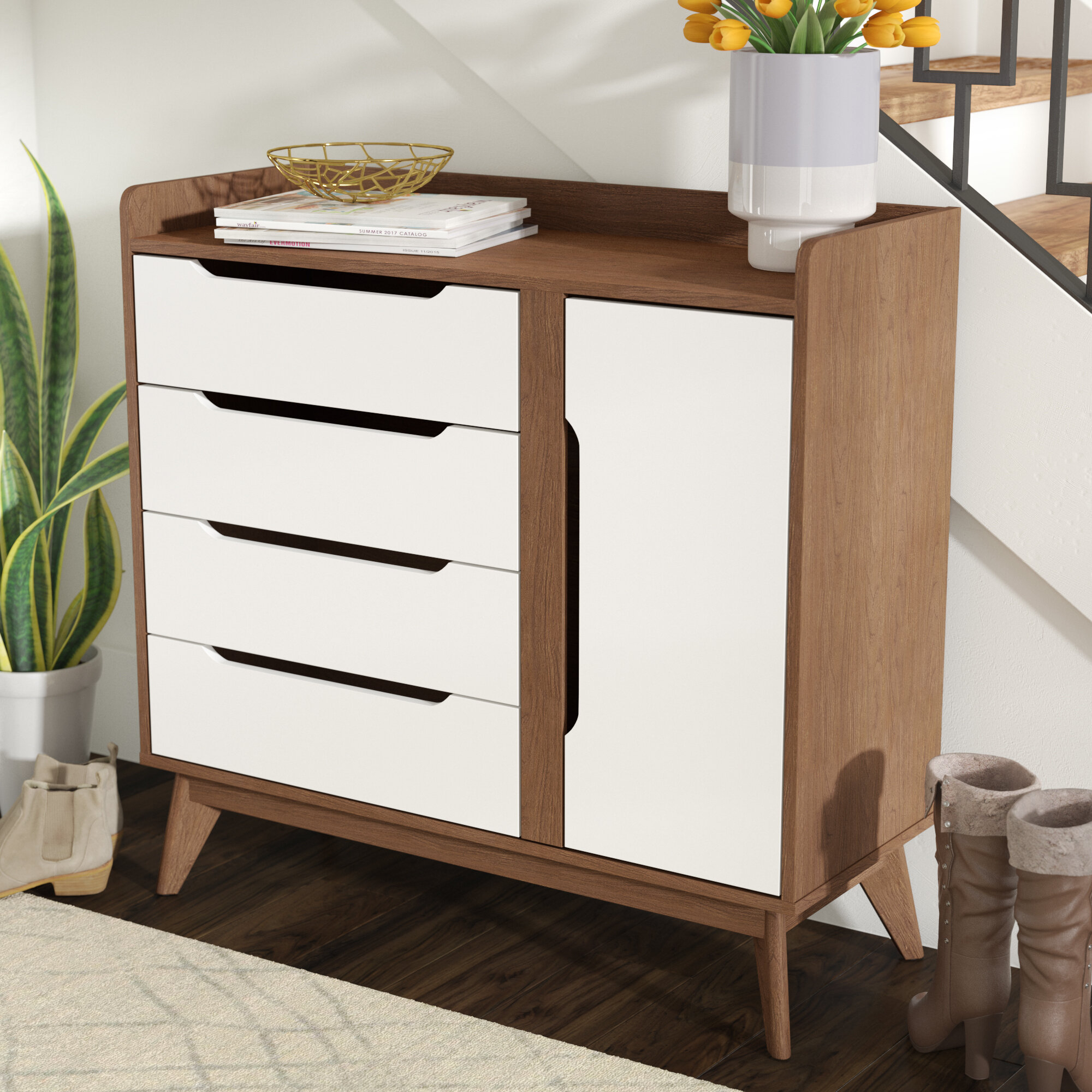 Shoe Storage Cabinet