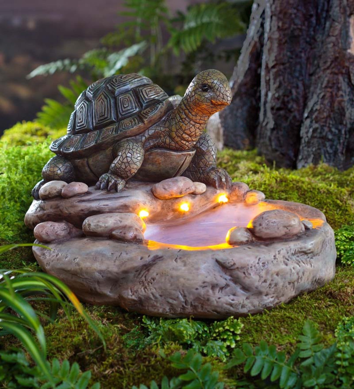 Turtle Solar and Lighted Birdbath