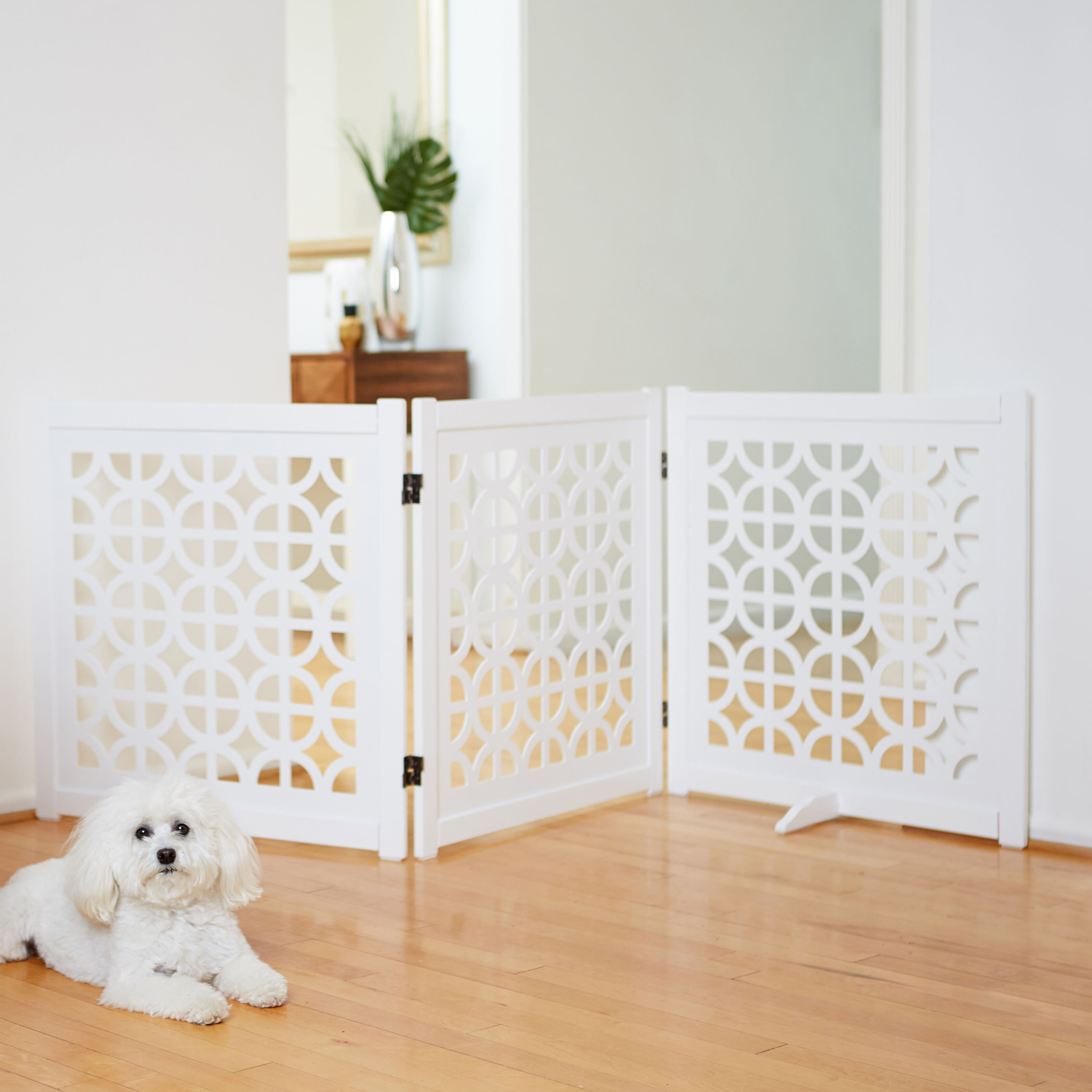 Decorative Pet Gates With Door for Sale - VisualHunt