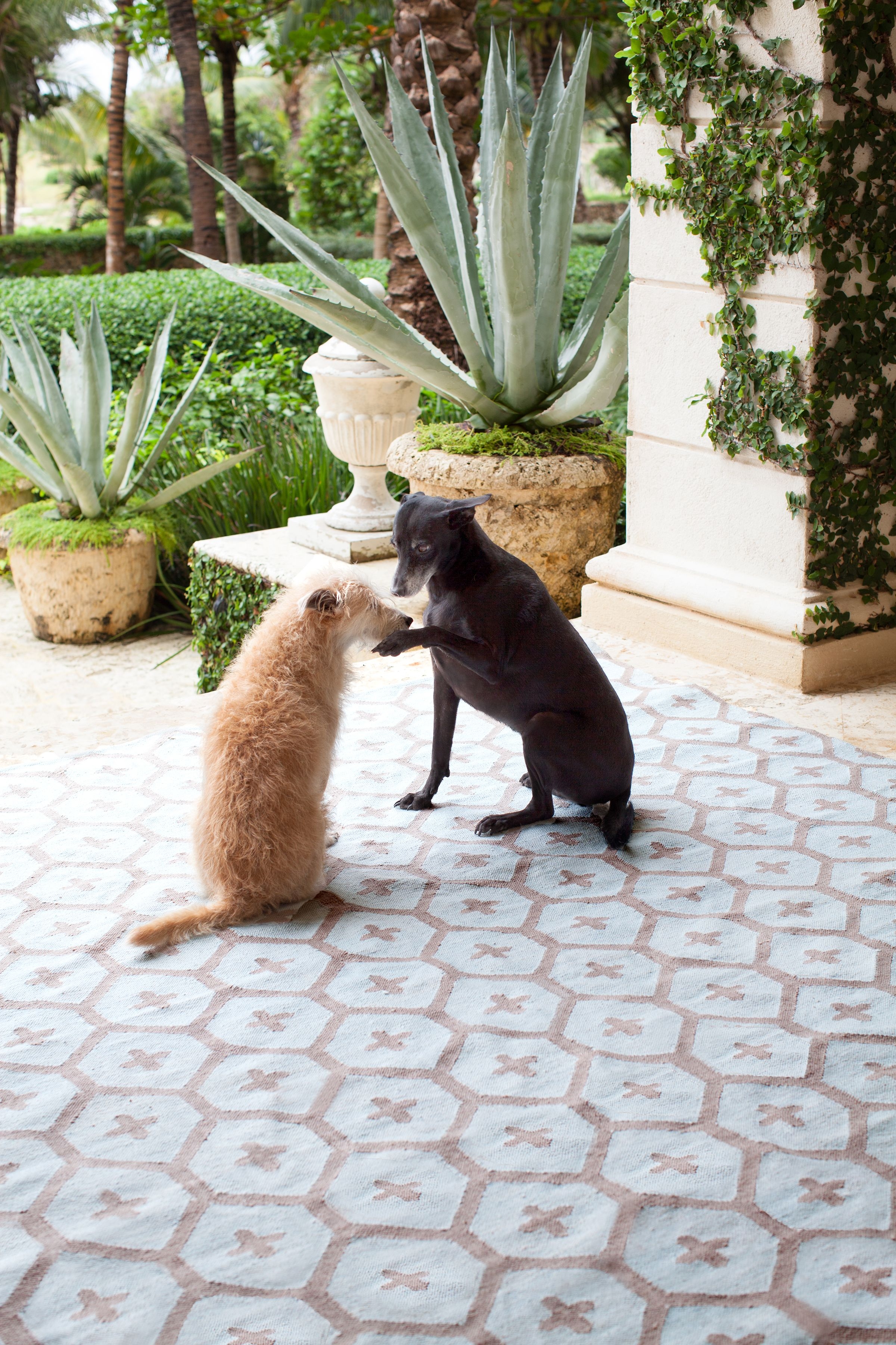 Woven Indoor/Outdoor Wonder Rugs | Annie Selke