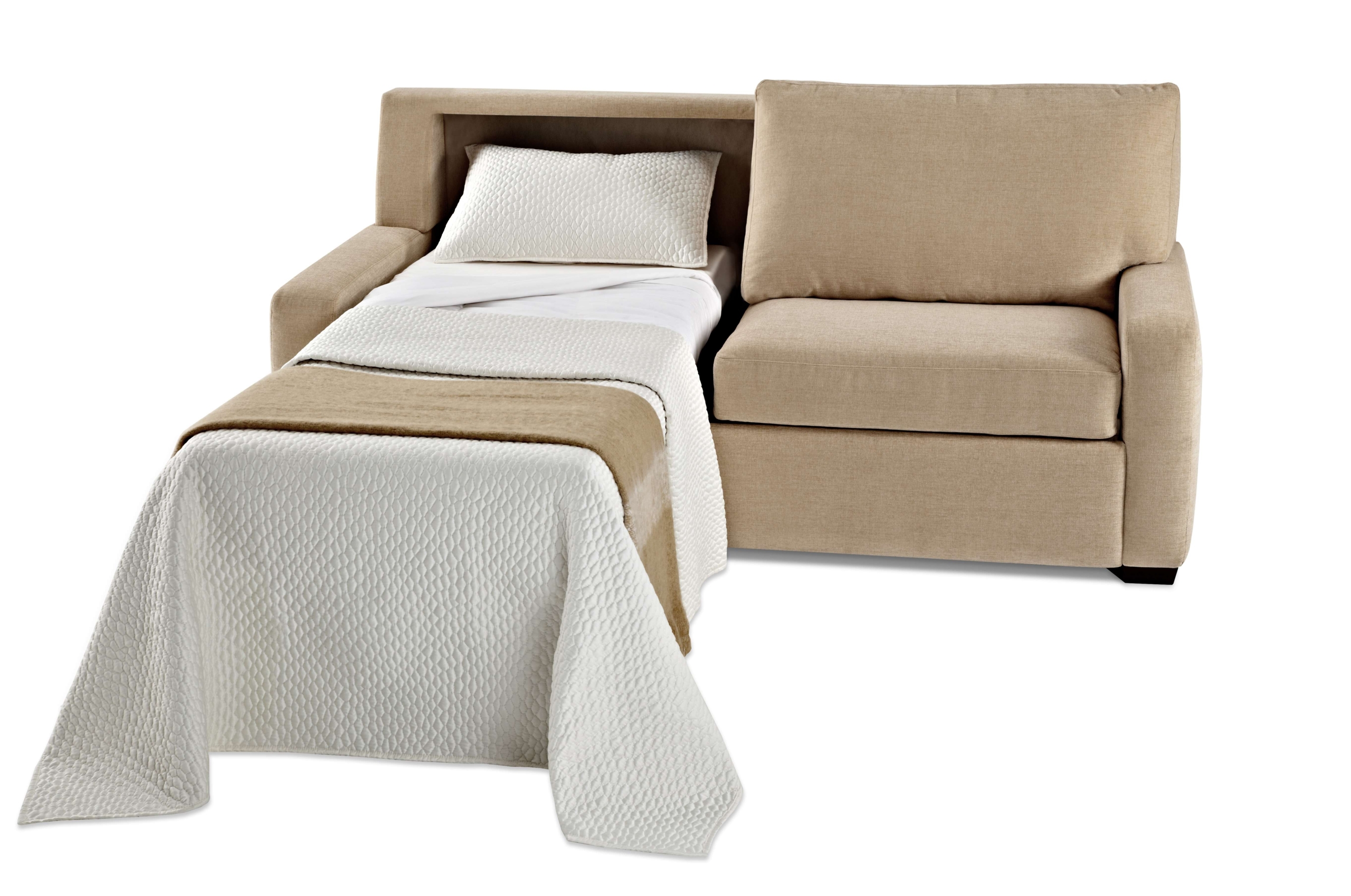 Loveseat Twin Sleeper Sofa Visualhunt, Twin Bed Fold Out Couch