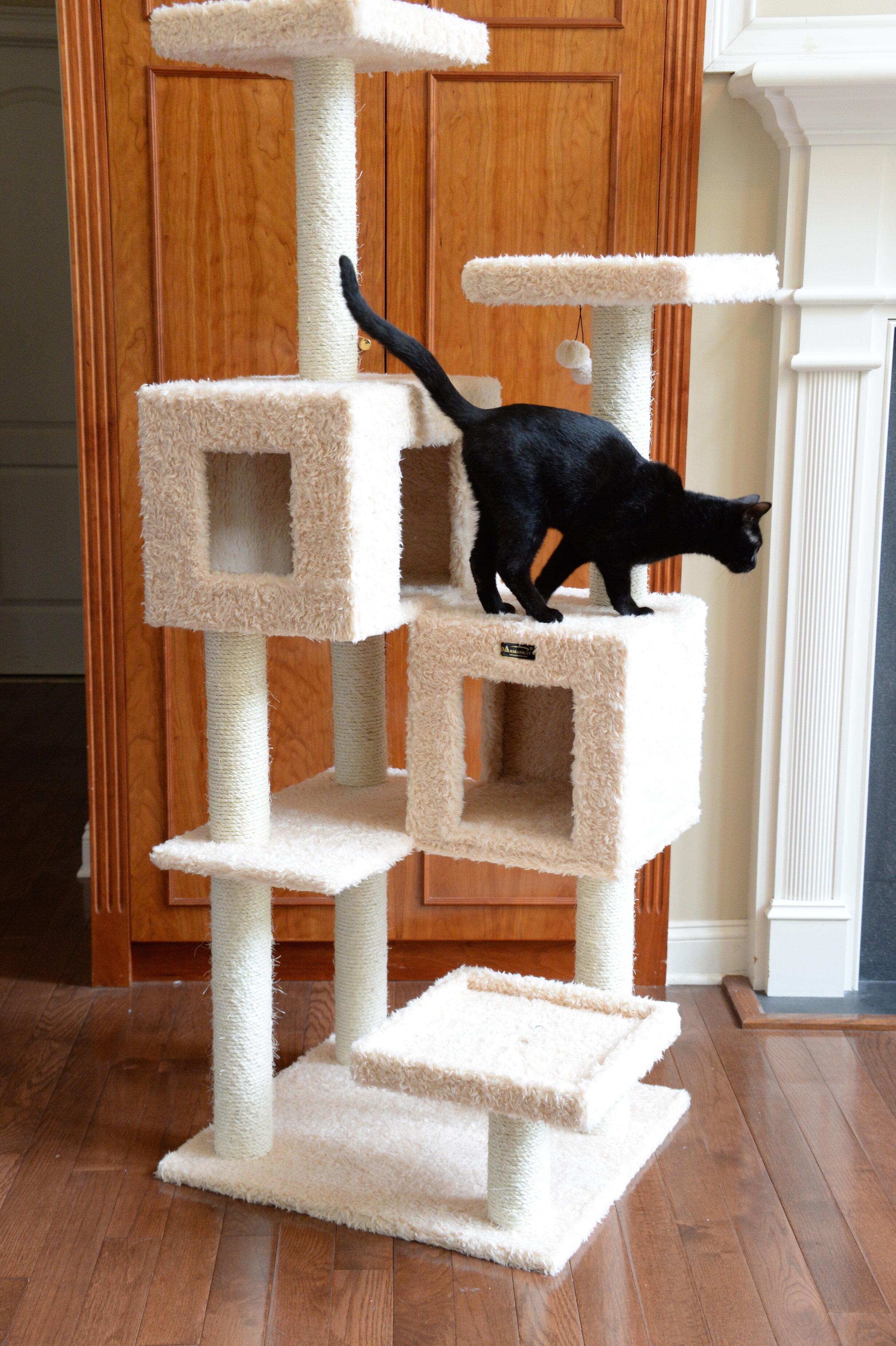 Cat Trees For Large Cats - VisualHunt