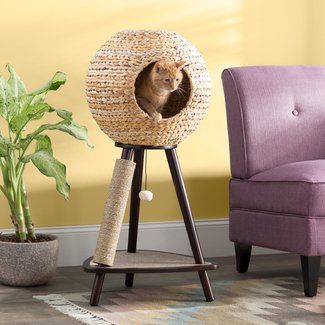 Tall Cat Scratching Post - VisualHunt