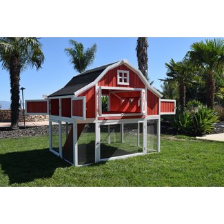Bodnar Chicken Coop with Nesting Area and Transition Door