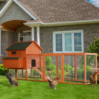 Camara Deluxe Outdoor Chicken Coop with Nesting Box and Chicken Run