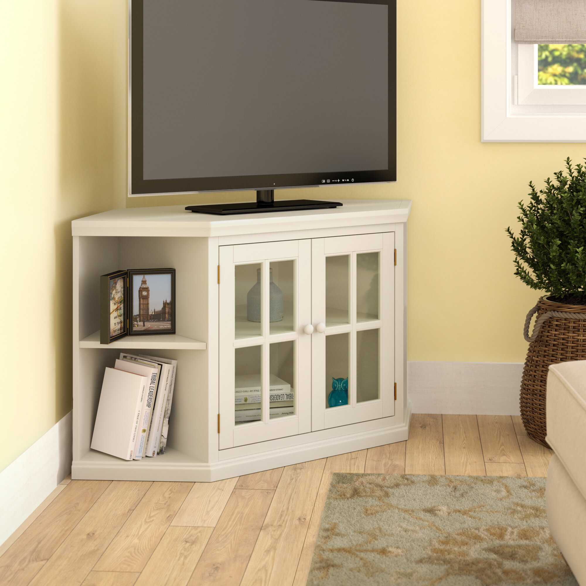 Carnesville TV Stand for TVs up to 50"