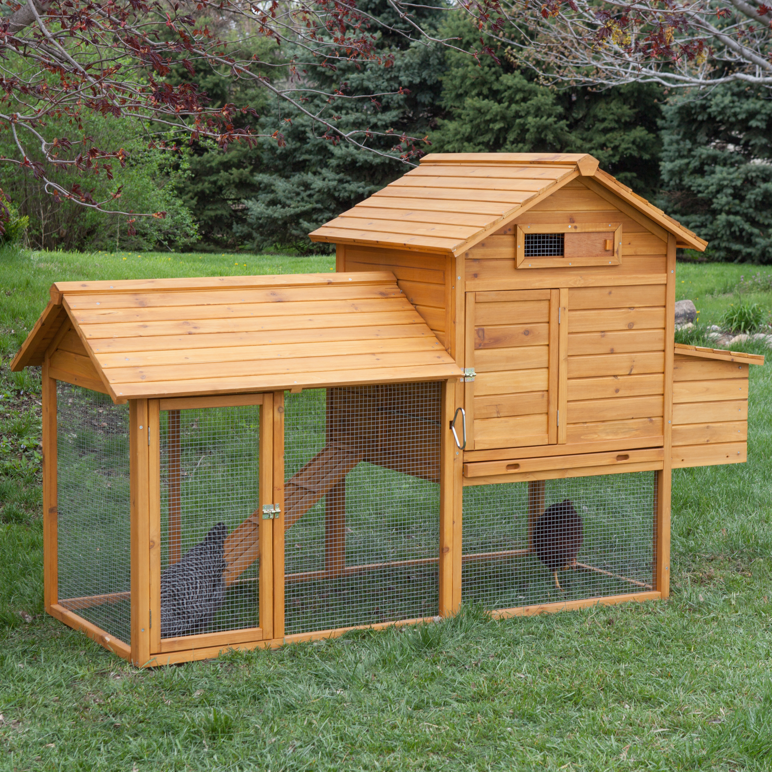 Chicken Coops for 4 - 6 Chickens | Hayneedle