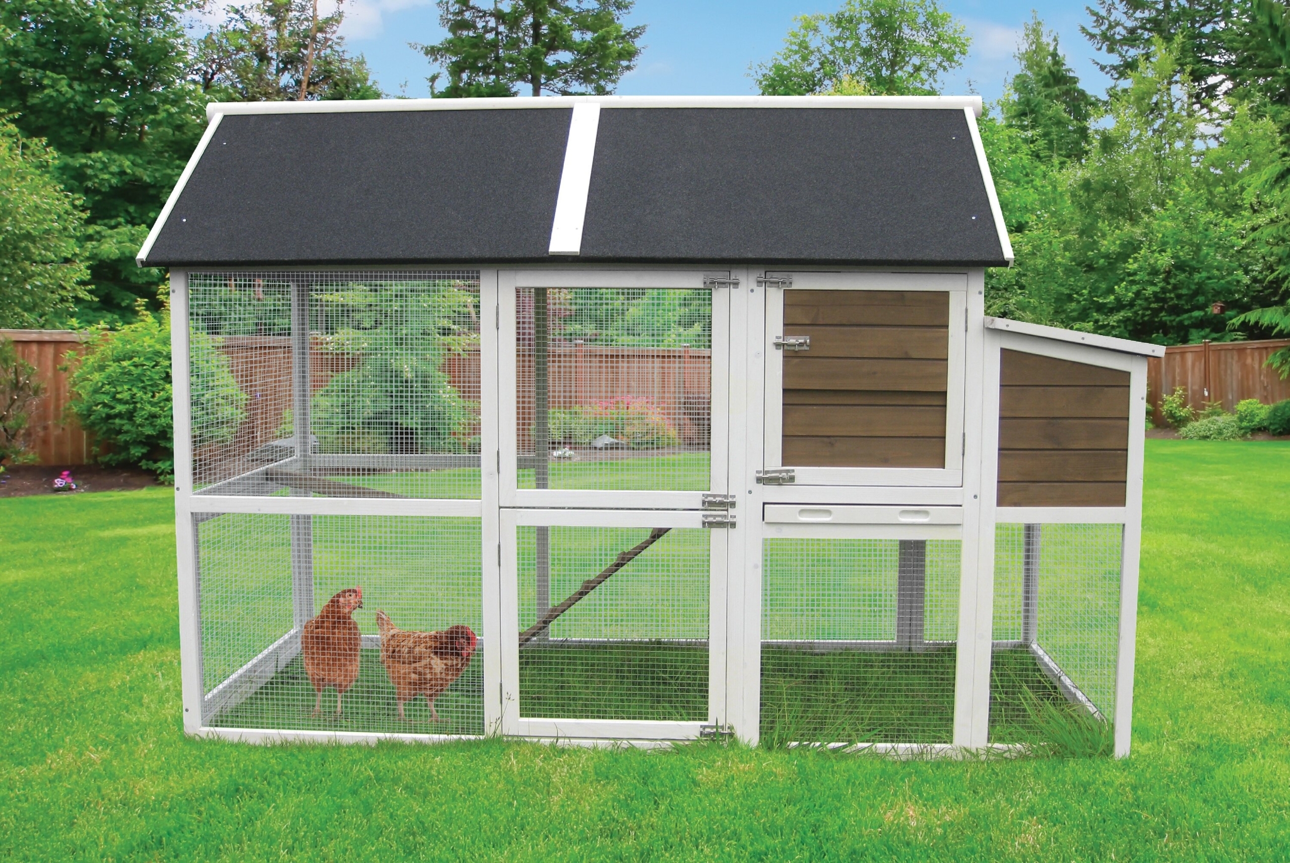 Coops & Feathers X-Large Superior Chicken Coop/House