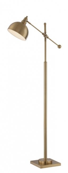 Danika Cupola 58" Swing Arm Floor Lamp