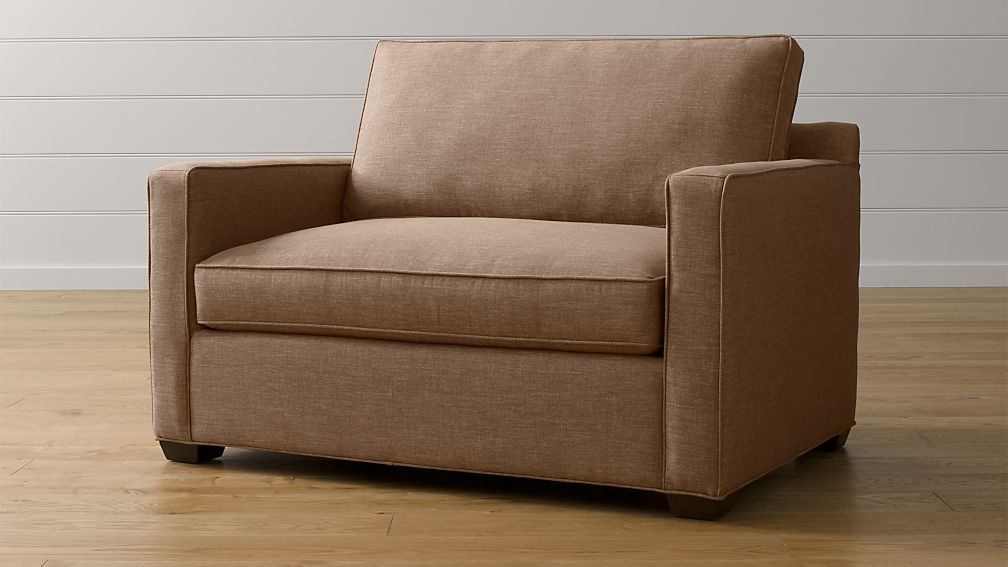 Davis Twin Sleeper Sofa | Crate and Barrel